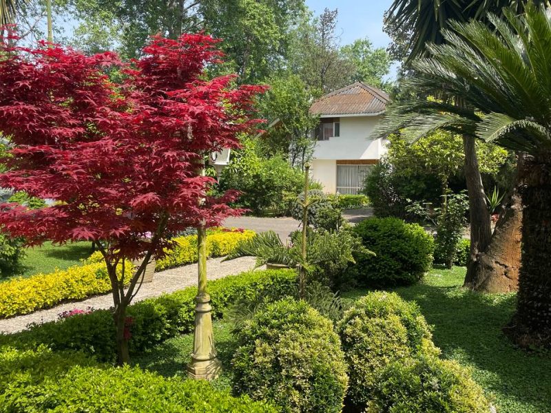 باغ ویلای چالوس - باغ - تصویر 34