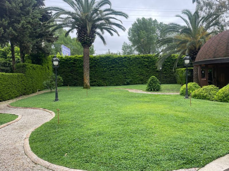 باغ ویلای درویشی - باغ - تصویر 35